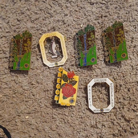 Colorful Assorted Pin Collection - Picture 3 of 9
